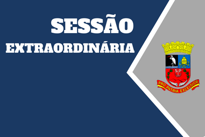 4ª Sessão Extraordinária de 2020