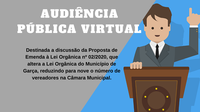 Audiência Pública Virtual